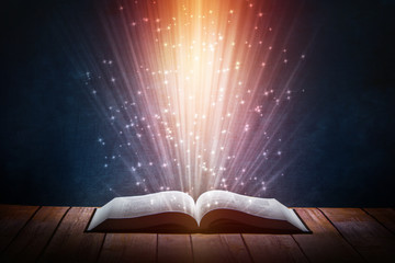 卡比猫粮/卡比猫粮哪个国家的