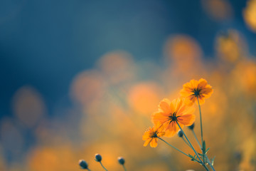 壬子日！壬子日柱男命