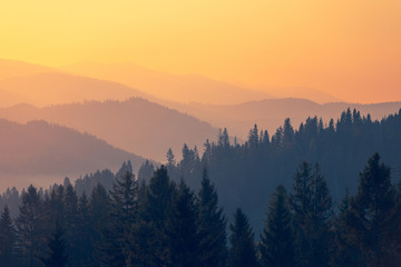 酒米饭（酒米饭的做法 最正宗的做法）