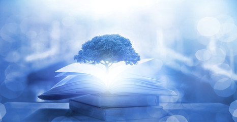 壬子日！壬子日柱男命