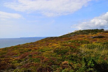 壬子日！壬子日柱男命