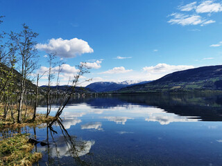 酒米饭（酒米饭的做法 最正宗的做法）