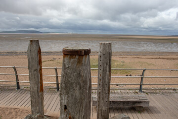 伊甸湖真实事件，伊甸湖真实事件中的熊孩子现在如何