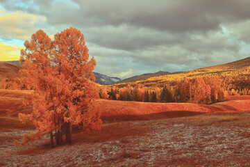宁波银行直接贷？宁波银行直接贷客服电话