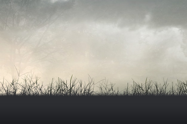 卡比猫粮/卡比猫粮哪个国家的