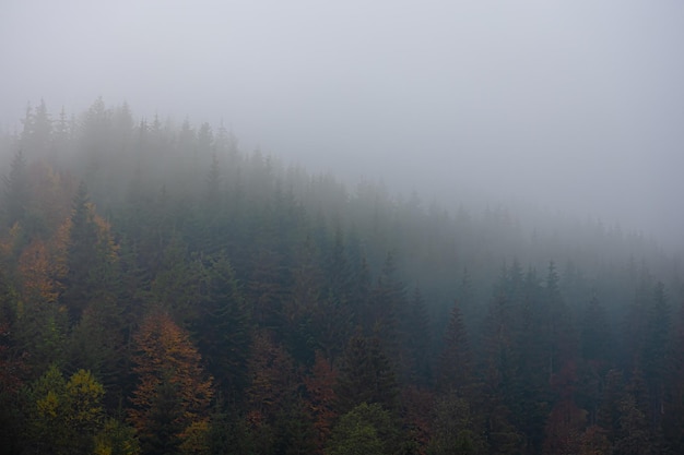 英国人说英语标准吗/英国人说英语用英语怎么说?