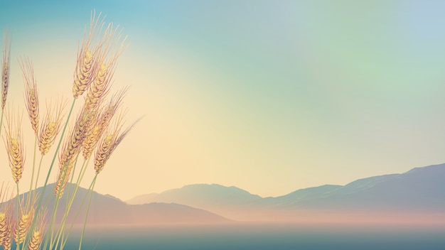 安徽省选调生工资待遇/安徽省选调生工资待遇怎么样