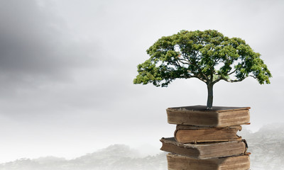 新婚之夜真实自述（新婚之夜有什么步骤）