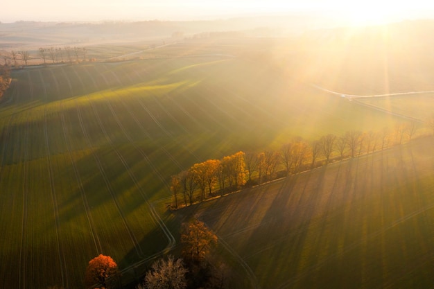 壬子日！壬子日柱男命