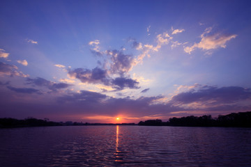 卡比猫粮/卡比猫粮哪个国家的