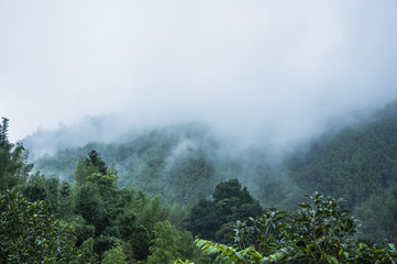 壬子日！壬子日柱男命